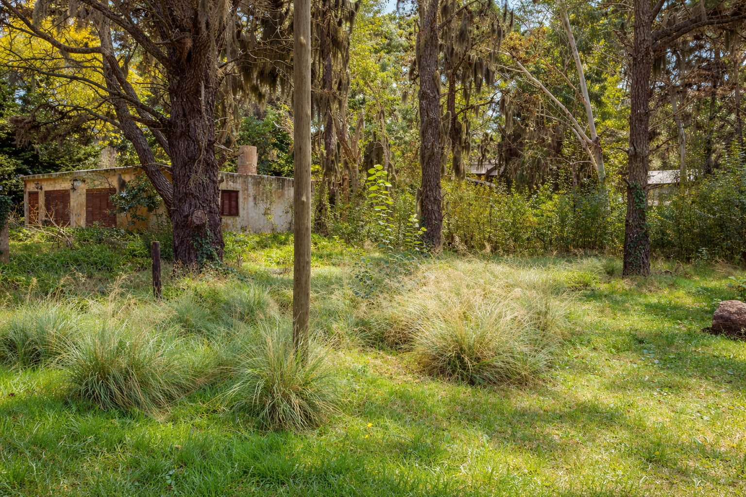 Venta Lote en Tulipanes y Dalias Costa del Este - Costa del Este - foto 4